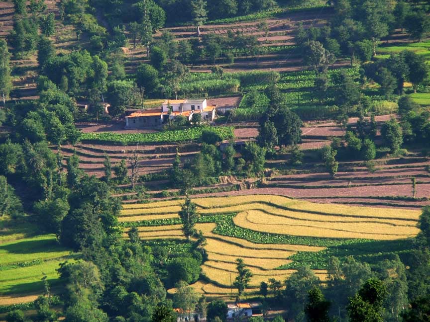 Earth Day Pachamama