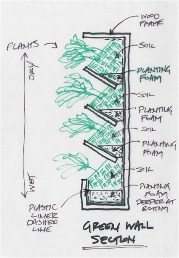 Green Wall Sketch