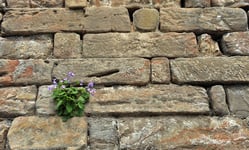 architecture of courage and creativity blog post image | pirie associates