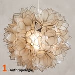1-Anthropologie.jpg